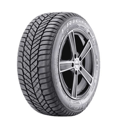 Anvelopa IARNA Debica Frigo 2 205/55R16 91T