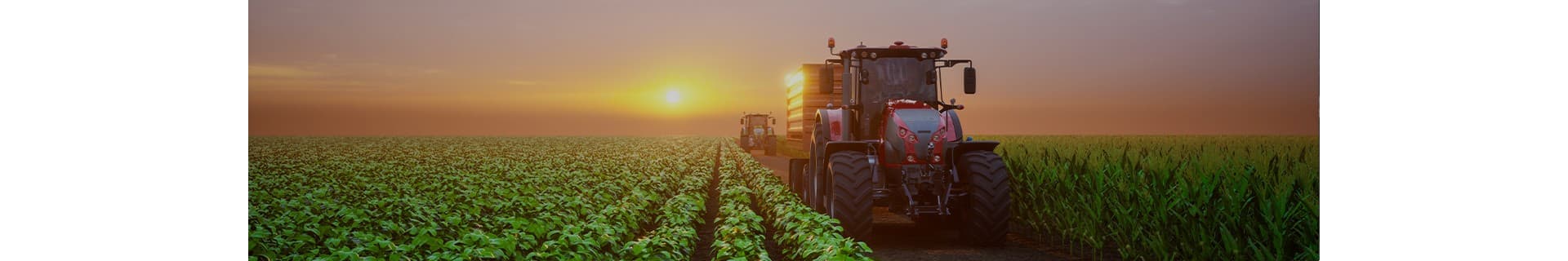 Descoperă gama de anvelope AGRO INDUSTRIALE