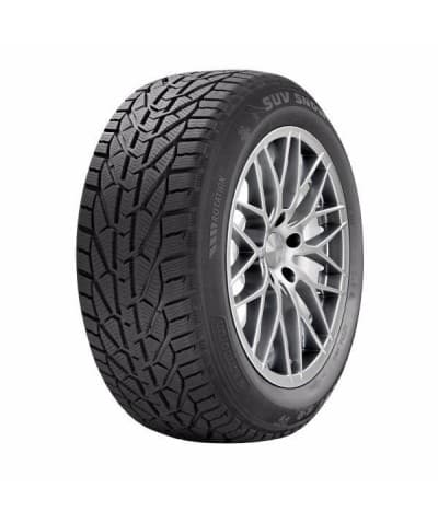 Anvelopa Iarna Riken Snow 225/55 R16 95H